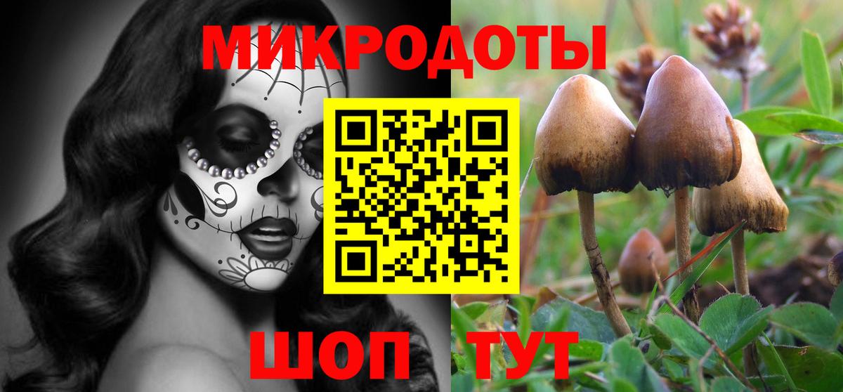 Артёмовский  Галлюциногенные грибы Cubensis  Вход с VPN 
