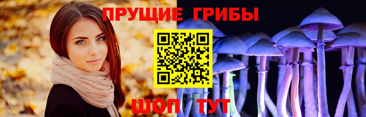 Псилоцибиновые грибы Psilocybine cubensis Артёмовский
